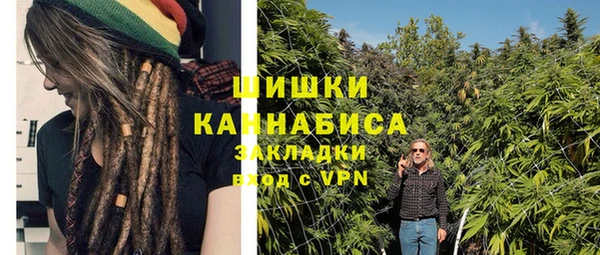 ПСИЛОЦИБИНОВЫЕ ГРИБЫ Михайловск