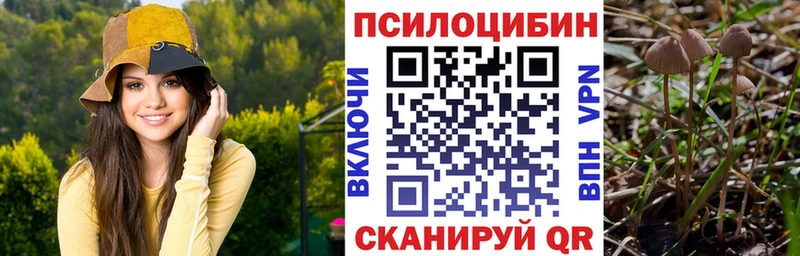 Псилоцибиновые грибы Psilocybe  хочу   Ишим 